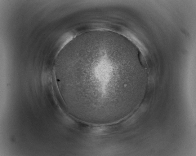 X0000116821385200912312007