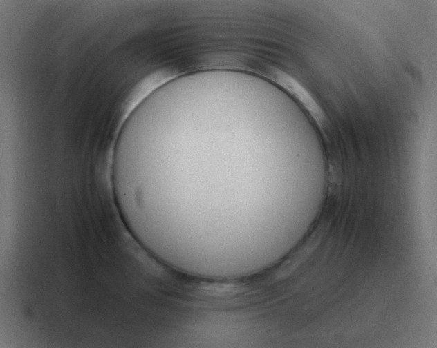 X0000116821386200912312007