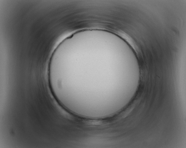 X0000116821387200912312007