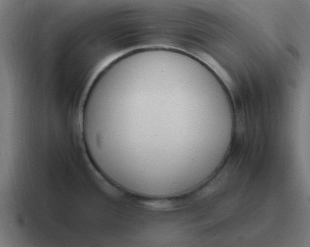 X0000116821388200912312007