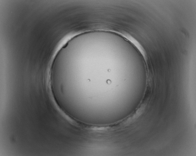 X0000116821389200912312007