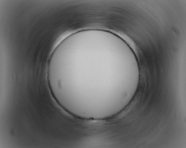 X0000116821390200912312007