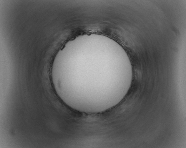 X0000116821393200912312006