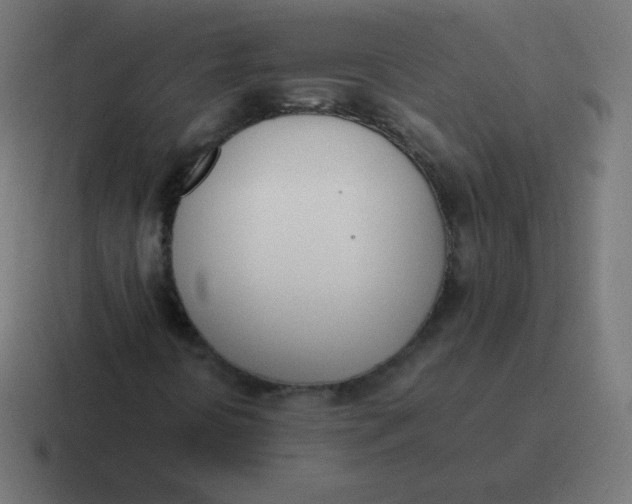 X0000116821394200912312006