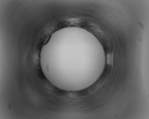 X0000116821395200912312006