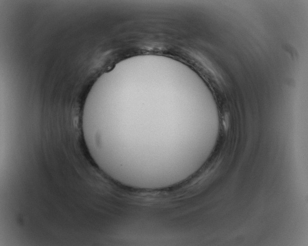 X0000116821396200912312006