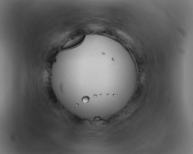 X0000116821397200912312006