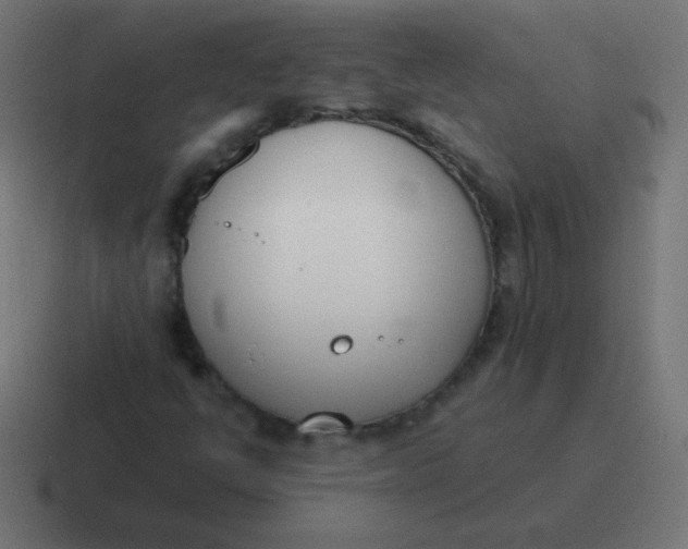 X0000116821398200912312006