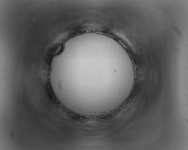 X0000116821399200912312006