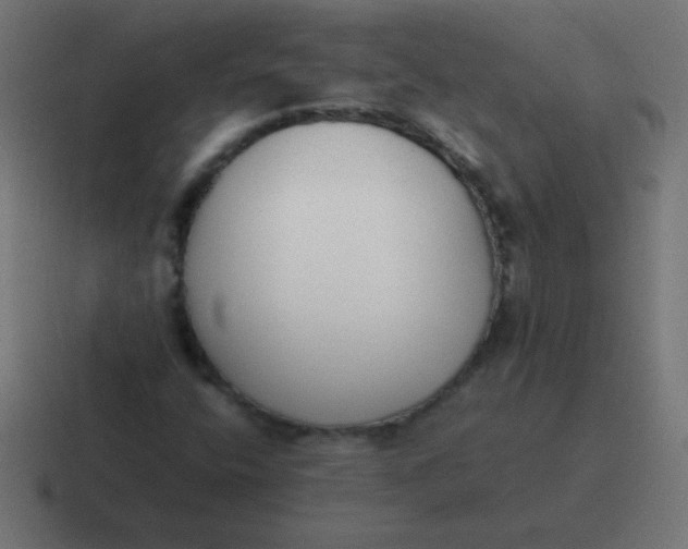 X0000116821400200912312006