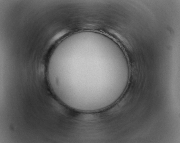 X0000116821402200912312006