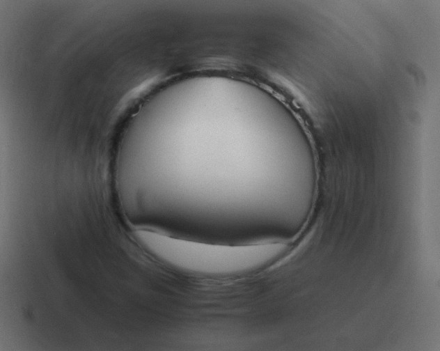 X0000116821403200912312006