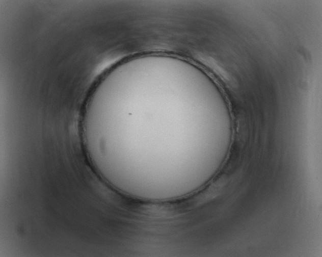 X0000116821404200912312006