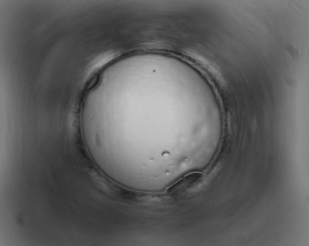 X0000116821405200912312006