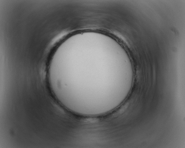 X0000116821406200912312007