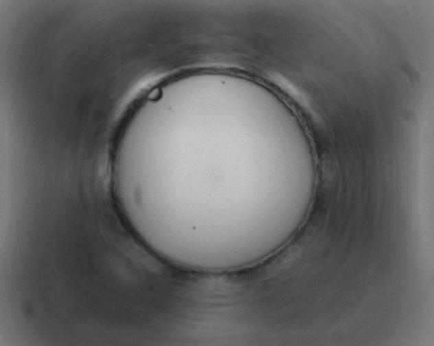 X0000116821408200912312007