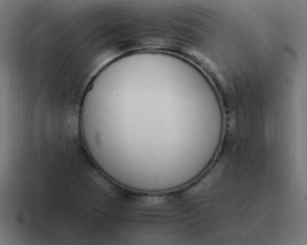 X0000116821409200912312007