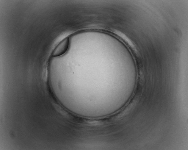 X0000116821413200912312007