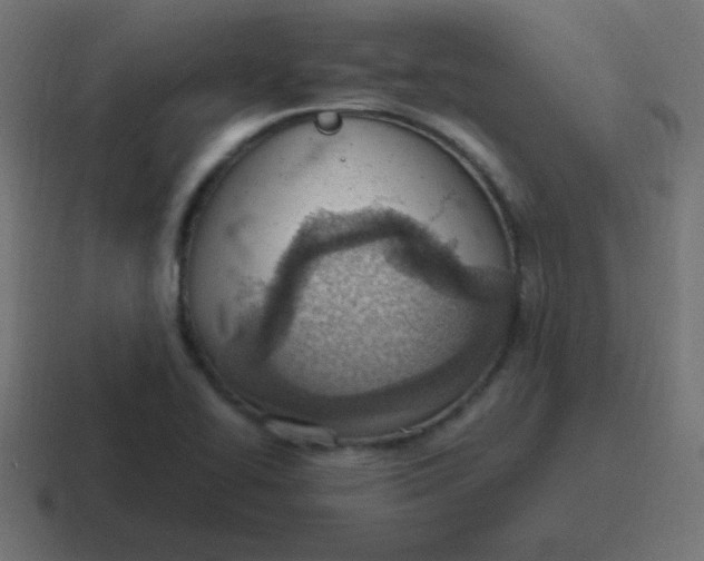 X0000116821414200912312007