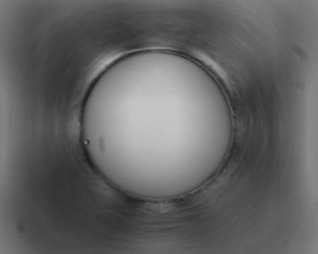 X0000116821415200912312007