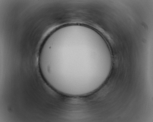 X0000116821416200912312007