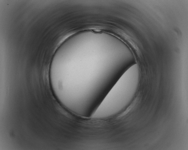 X0000116821417200912312007