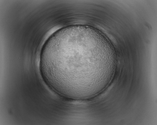 X0000116821418200912312007