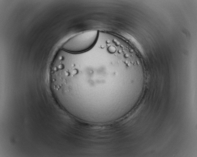 X0000116821419200912312007