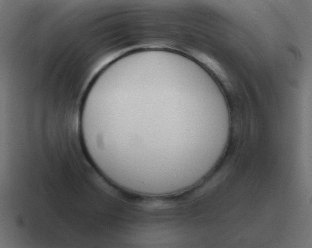 X0000116821420200912312007