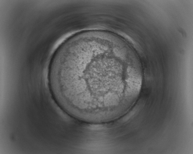 X0000116821422200912312007