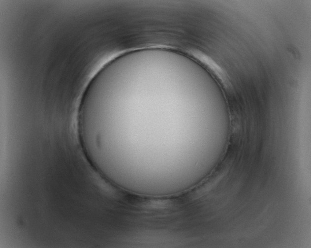 X0000116821423200912312007