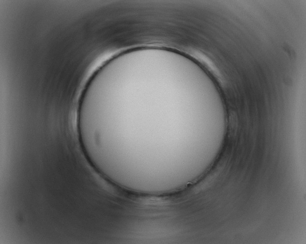 X0000116821424200912312007