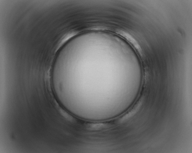 X0000116821425200912312007