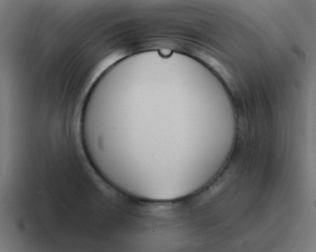 X0000116821426200912312007