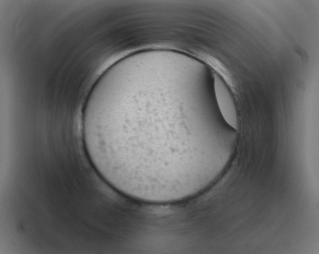 X0000116821428200912312007