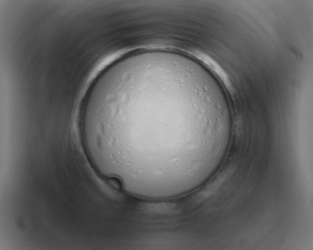 X0000116821429200912312007