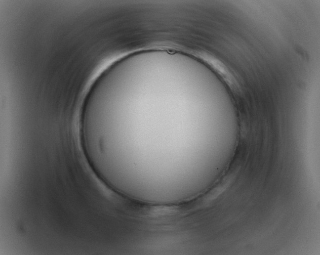 X0000116821430200912312007