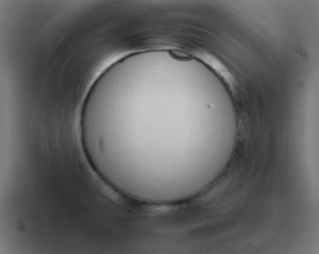 X0000116821431200912312007