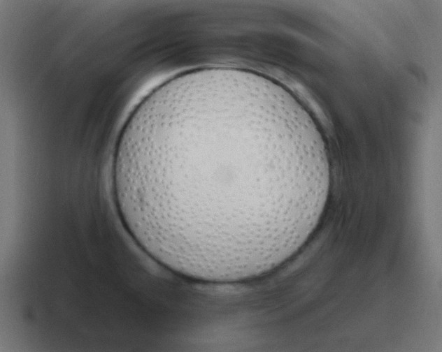 X0000116821432200912312007