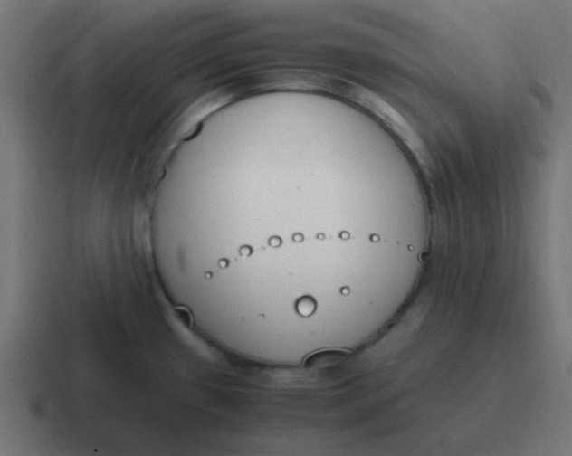 X0000116821433200912312007