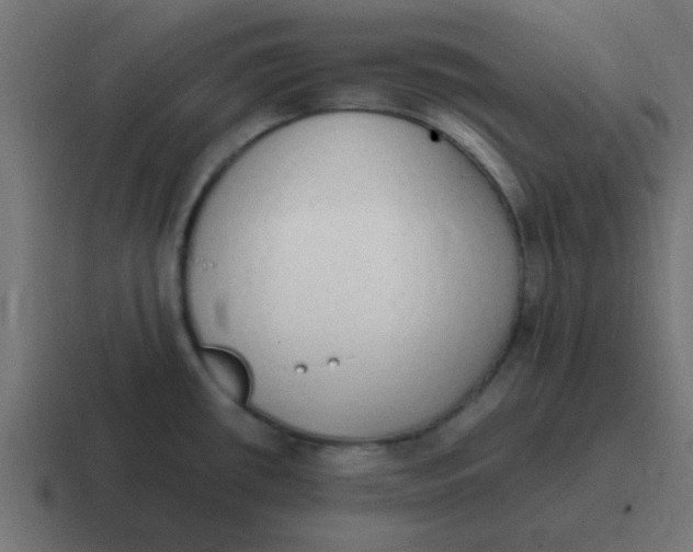 X0000116821434200912312007