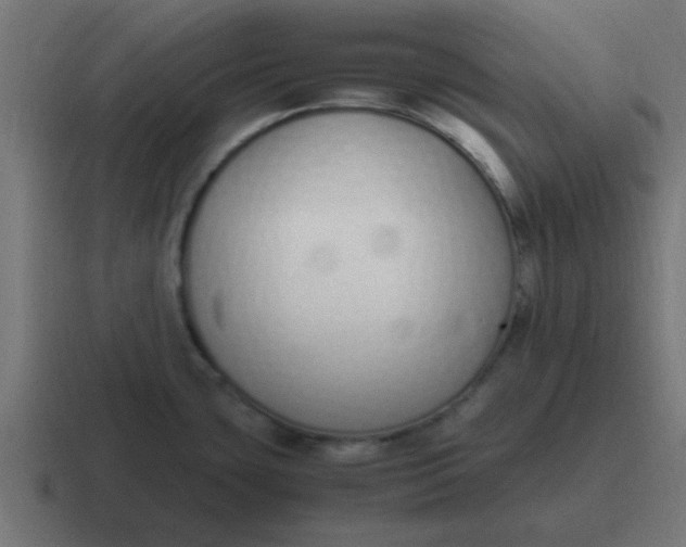 X0000116821435200912312007