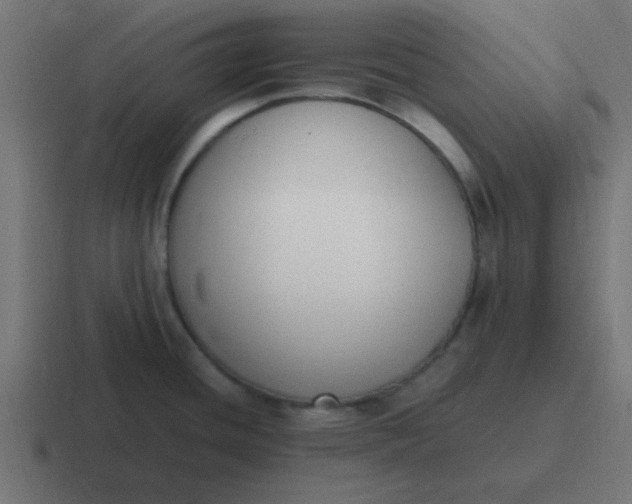 X0000116821436200912312007