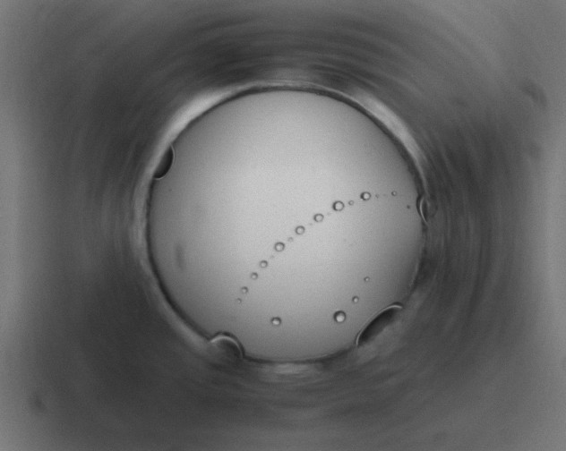 X0000116821437200912312007