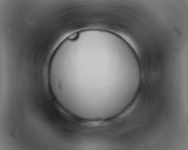 X0000116821438200912312007