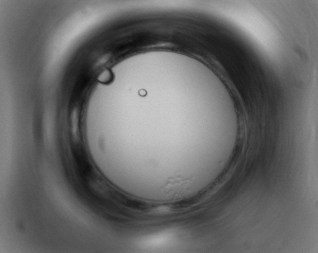 X0000116821439200912312007