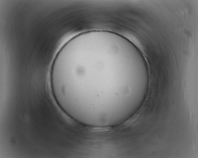 X0000116821440200912312007