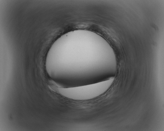 X0000116821441200912312006