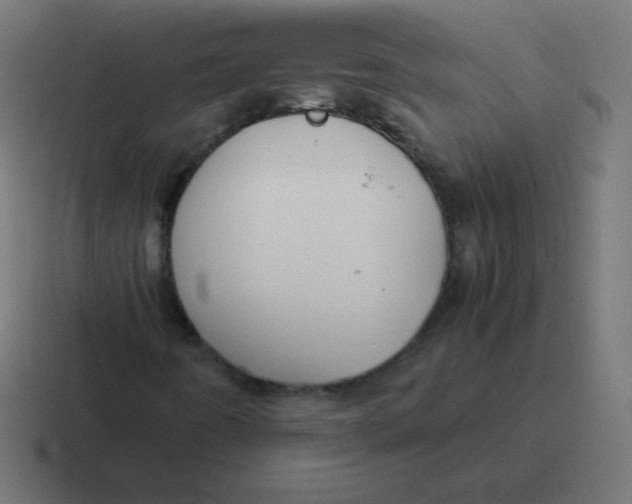 X0000116821442200912312006