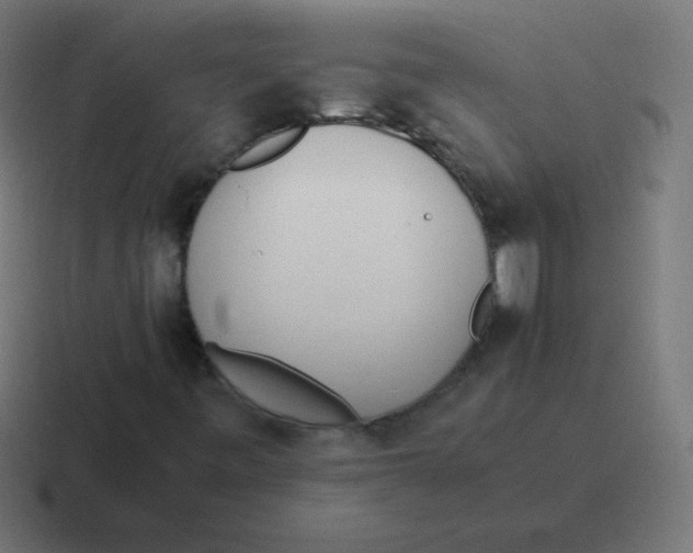 X0000116821443200912312006